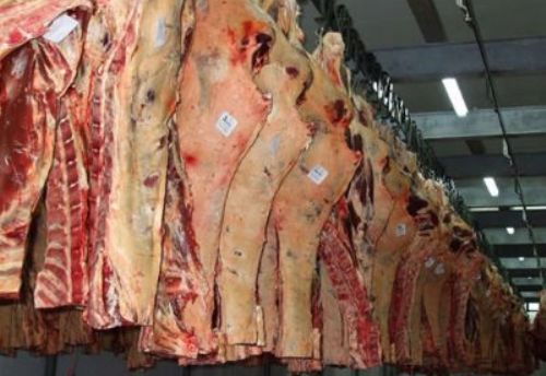 Brasil exporta menos carne bovina no primeiro semestre de 2015